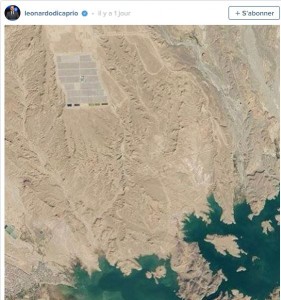 ليناردو